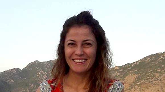 Yönetim Kurulu Üyesi